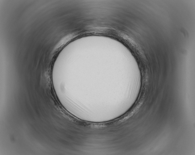 X0000111201354200908121101