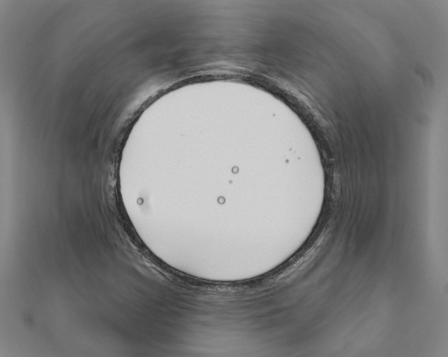 X0000111201355200908121101