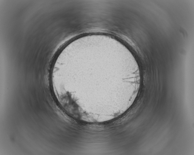 X0000111201356200908121101