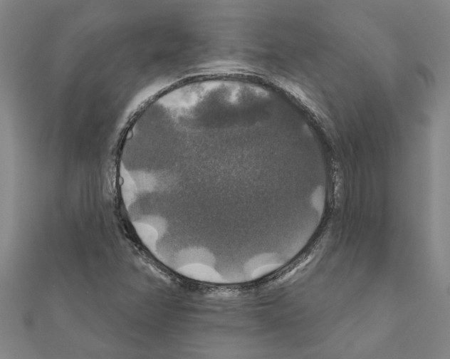 X0000111201358200908121101