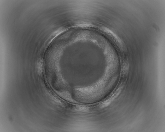 X0000111201361200908121101