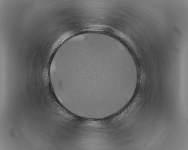 X0000111201362200908121101