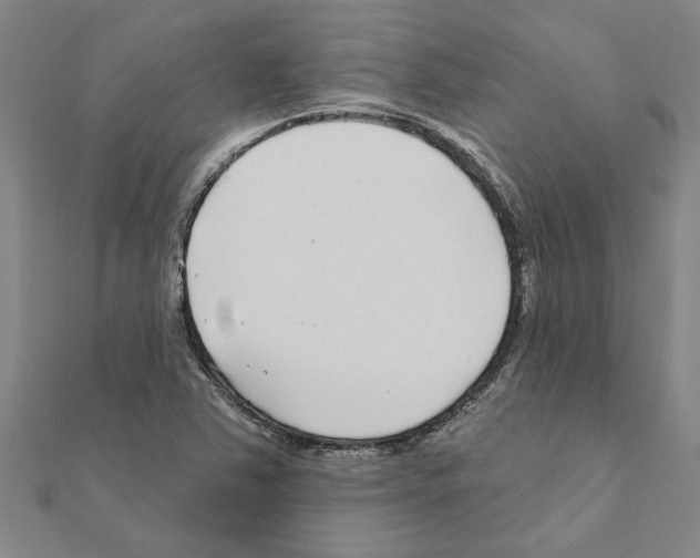 X0000111201363200908121100