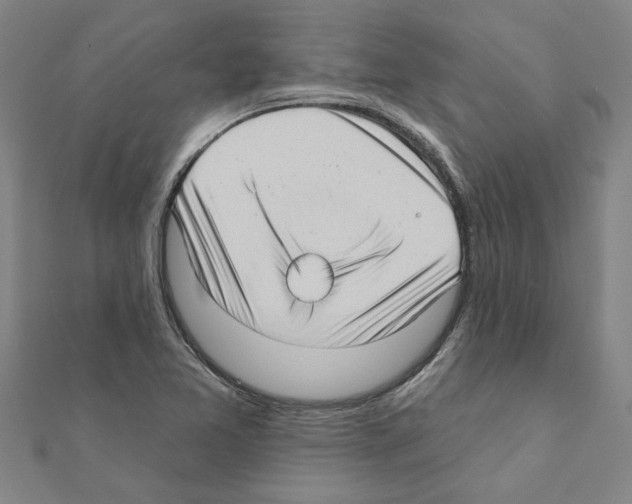 X0000111201365200908121100