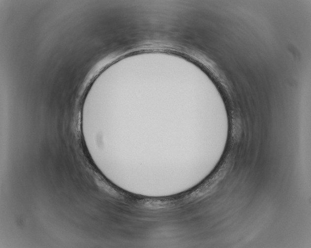 X0000111201366200908121100