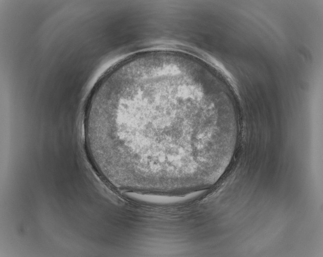 X0000111201368200908121100