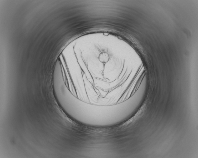 X0000111201369200908121100