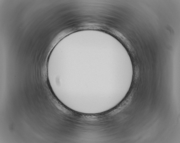 X0000111201370200908121100