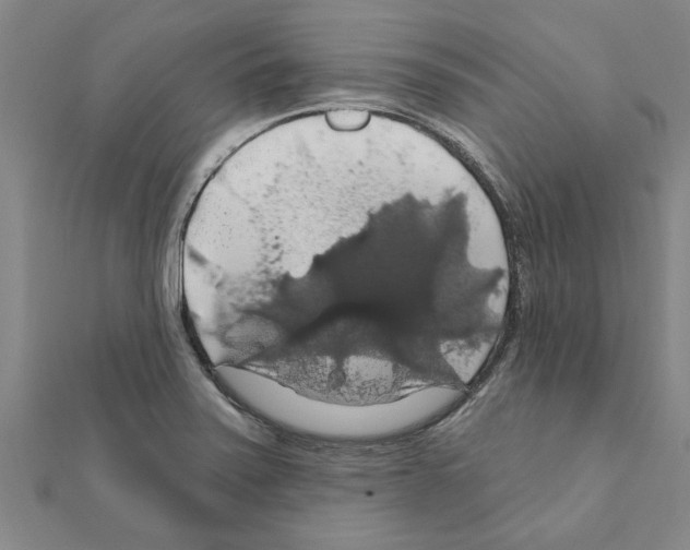 X0000111201371200908121100