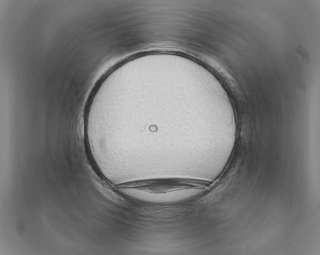 X0000111201372200908121100