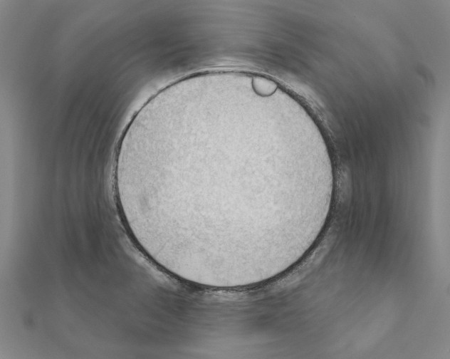 X0000111201374200908121100