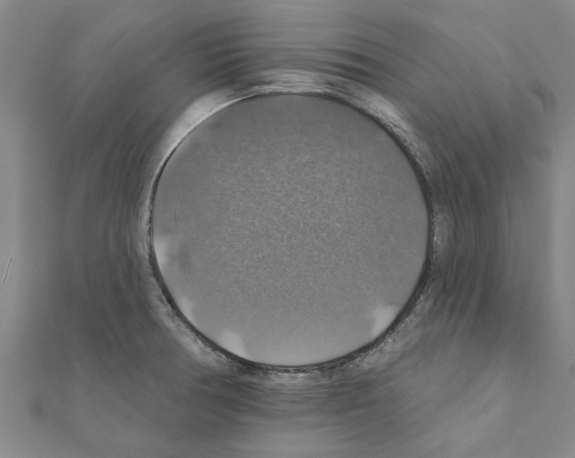 X0000111201378200908121100