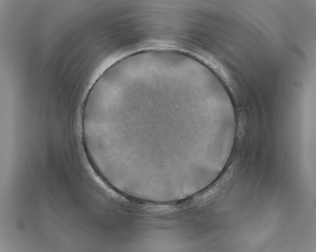 X0000111201382200908121100