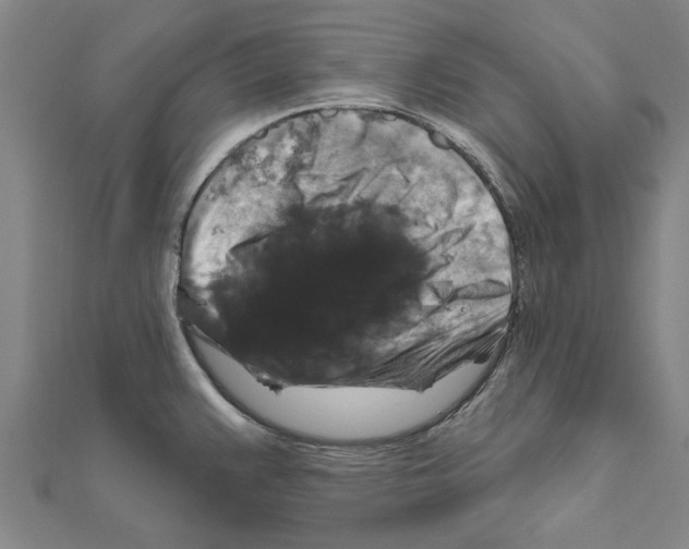 X0000111201383200908121100