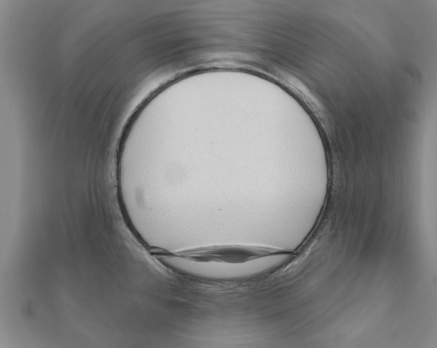 X0000111201384200908121100