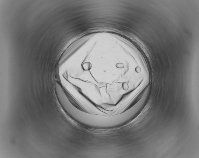 X0000111201385200908121100