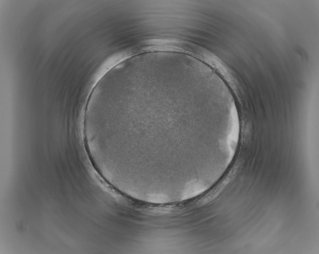 X0000111201386200908121100