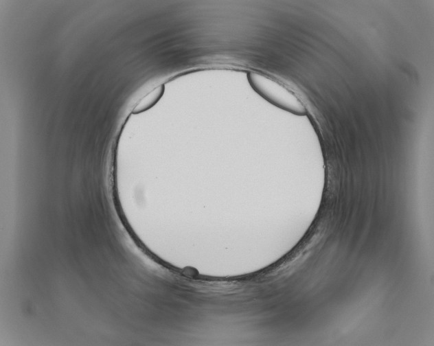 X0000111201387200908121100