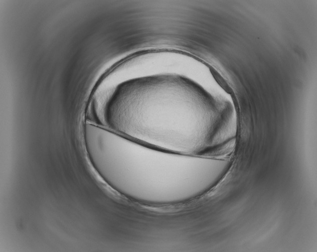 X0000111201388200908121100