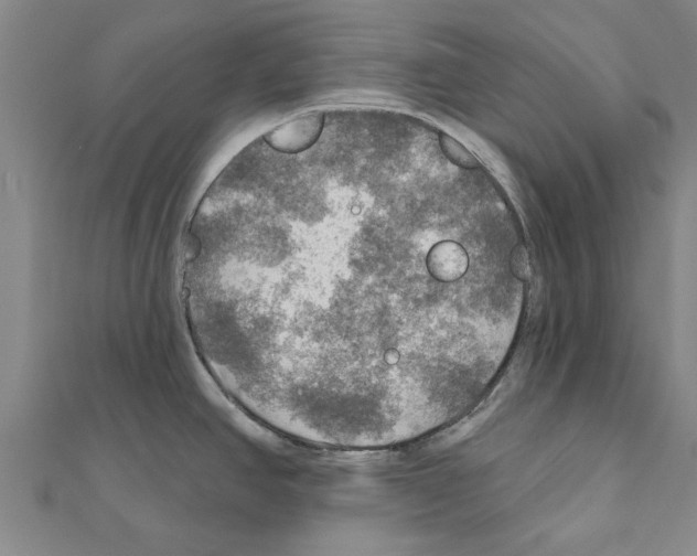 X0000111201390200908121100