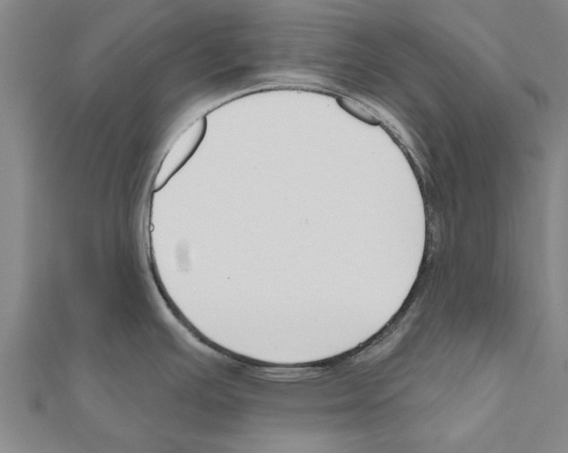 X0000111201391200908121100