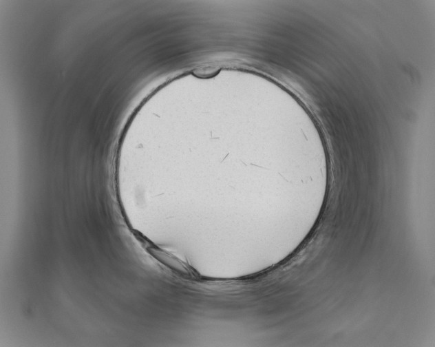 X0000111201392200908121100