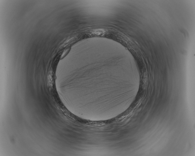 X0000111201394200908121059