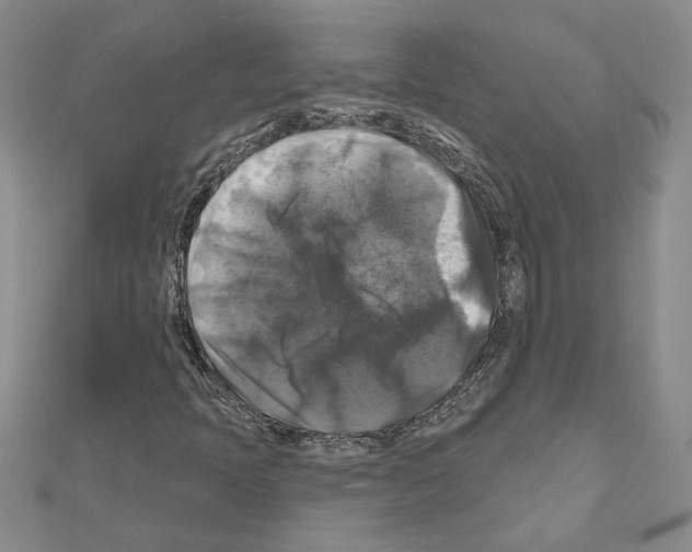 X0000111201397200908121059