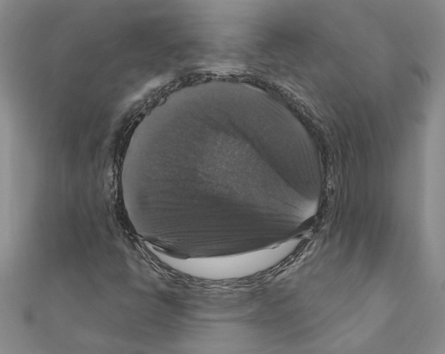 X0000111201398200908121059