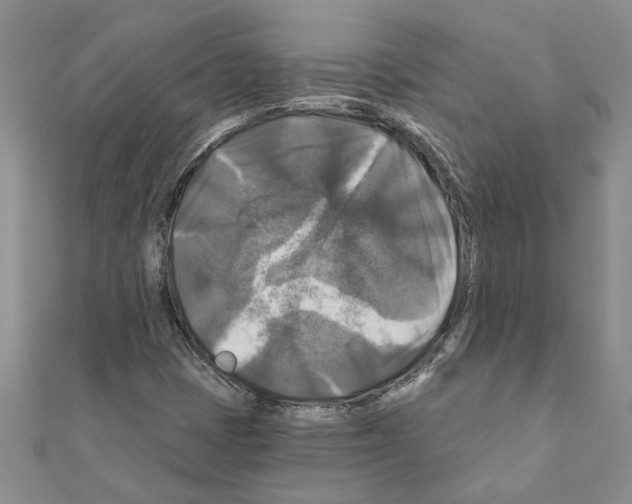 X0000111201401200908121059