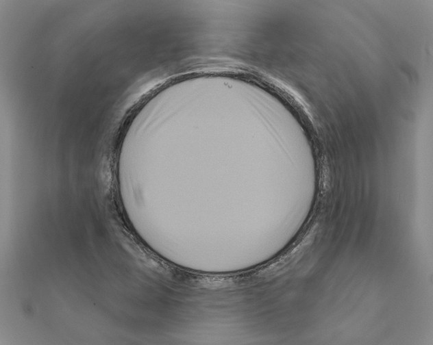 X0000111201407200908121059