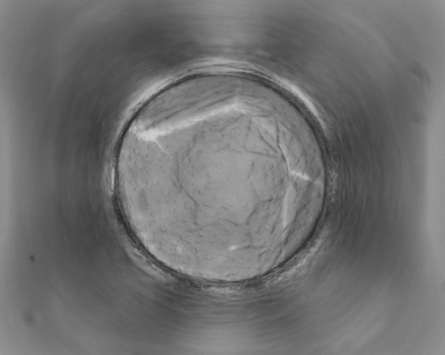 X0000111201413200908121059