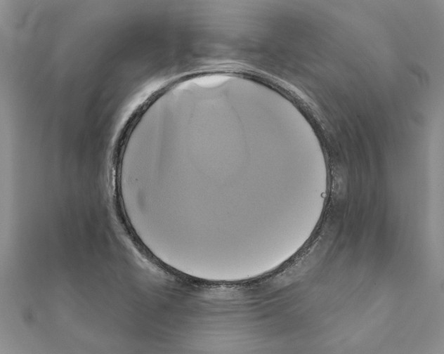 X0000111201414200908121059