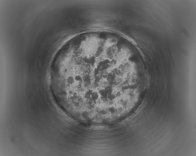 X0000111201415200908121059