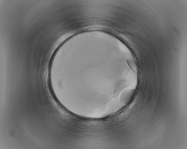 X0000111201418200908121059