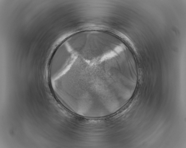 X0000111201419200908121059