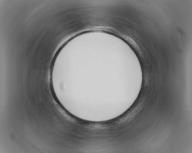 X0000111201420200908121100