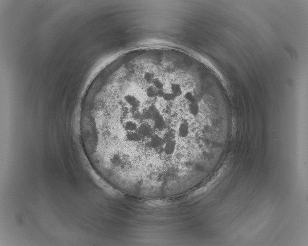 X0000111201421200908121100