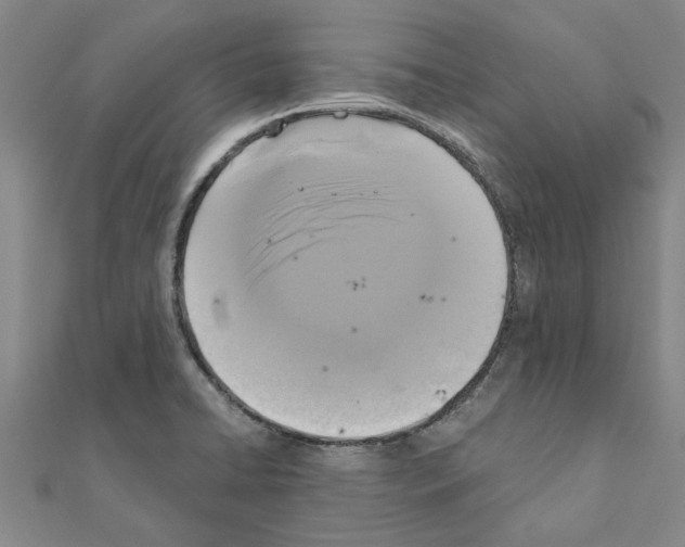 X0000111201422200908121100