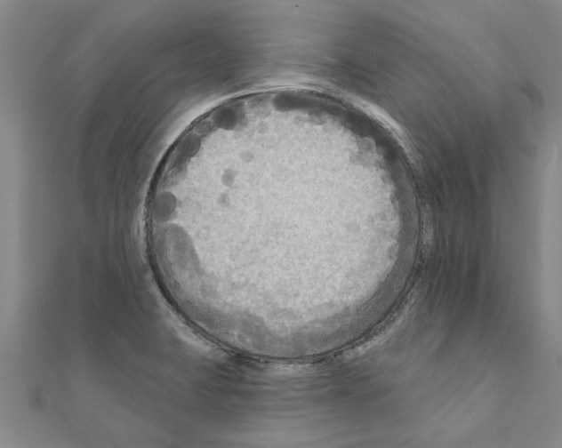 X0000111201423200908121100