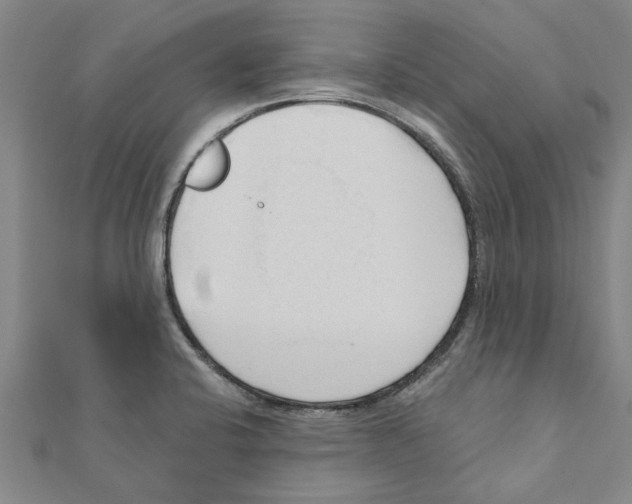 X0000111201424200908121100