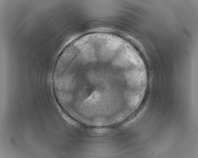 X0000111201425200908121100