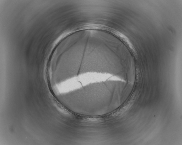 X0000111201427200908121100