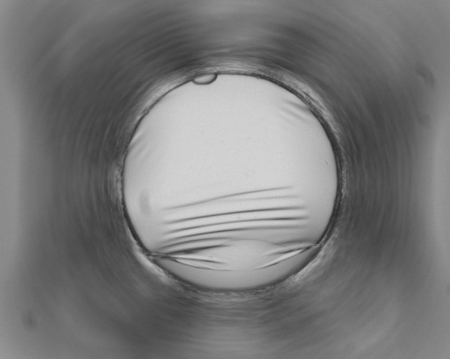 X0000111201433200908121100