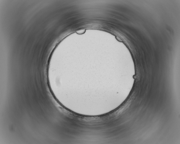 X0000111201434200908121100