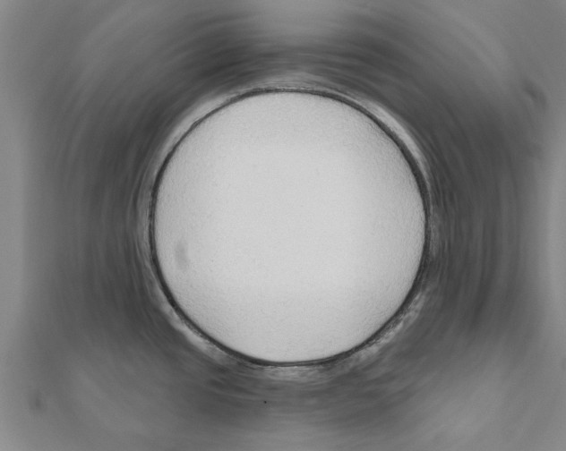 X0000111201437200908121100