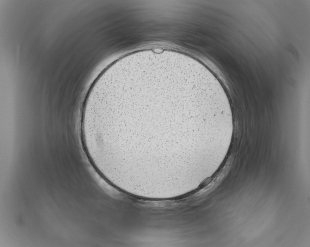 X0000111201438200908121100