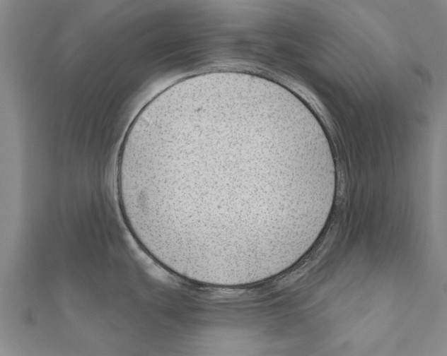 X0000111201439200908121100