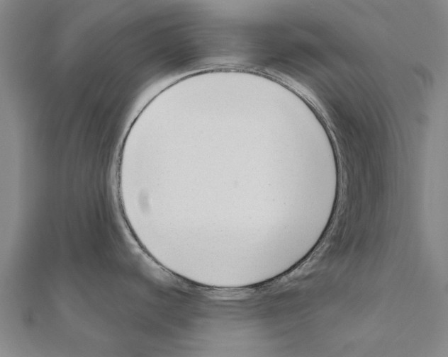 X0000111201440200908121100