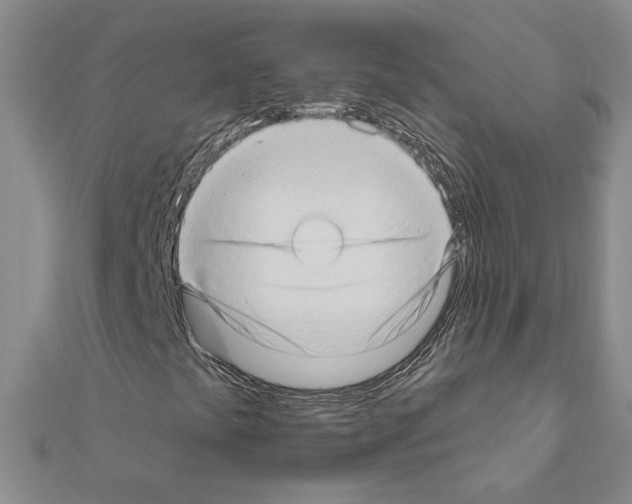 X0000111201441200908121059